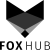 fox-hub-2-100x100